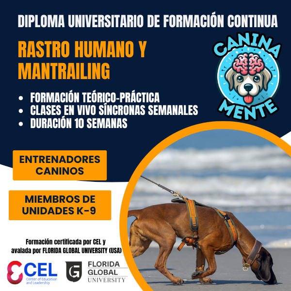 Cartel original del curso Rastro Humano y Mantrailing: 10 semanas, formación teórico-práctica, clases semanales en vivo, para entrenadores y miembros de unidades K-9