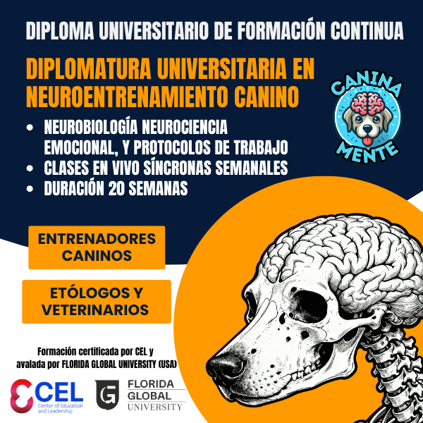 Cartel original de la Diplomatura Universitaria en Neuroentrenamiento Canino: neurobiología, neurociencia emocional y protocolos, 20 semanas con clases semanales en vivo